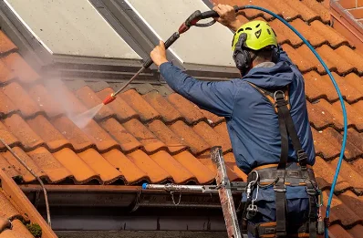 Démoussage et hydrofuge de toiture à Blismes